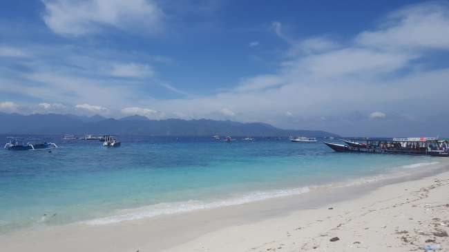 Schnorcheln im Turtle - Paradies Gili Inseln