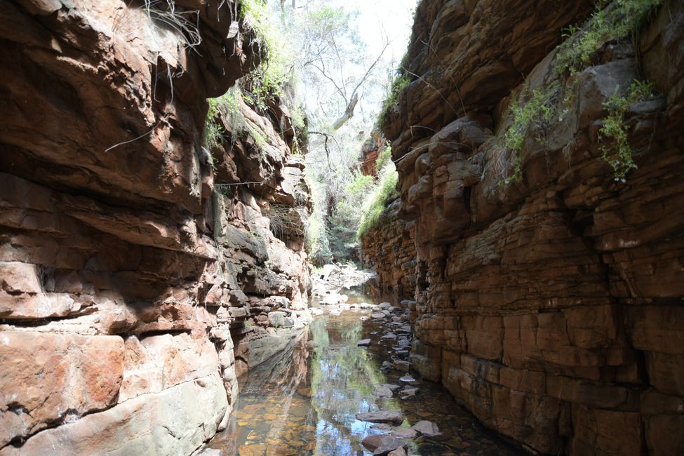 Flinders Ranges - Alligator Gorge Loop Trail