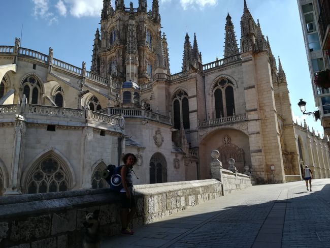Burgos ist schön