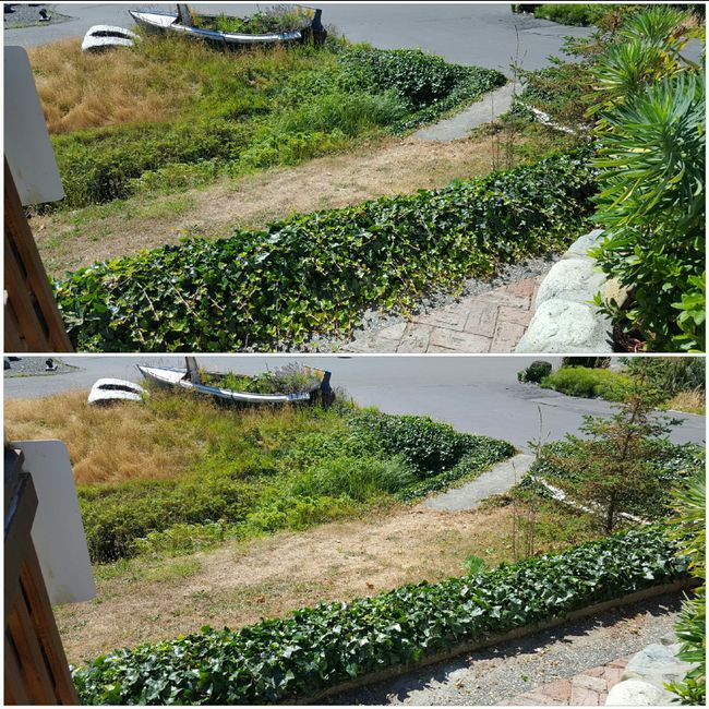 gardening work before/after