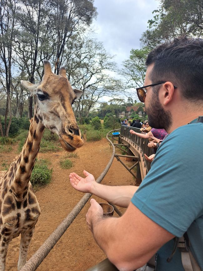 Drooling and too heavy: A day in Nairobi