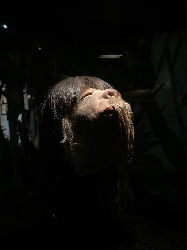 Shrunken heads at the Pumapungo Museum