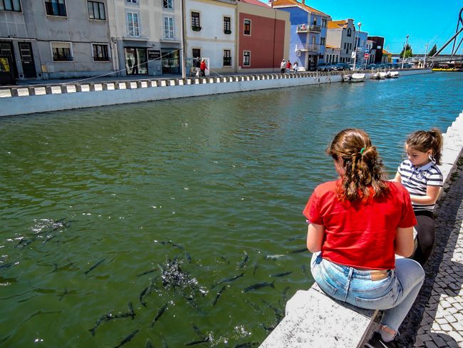 Zwei portugisische Mädchen füttern die Fische